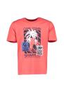 RAY Print-Shirt »TLB30 004 0428 / CAYENNE« sportlicher Schnitt mit Motiv-Print